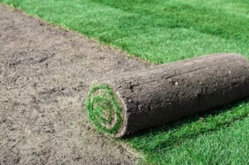 lawn installation
