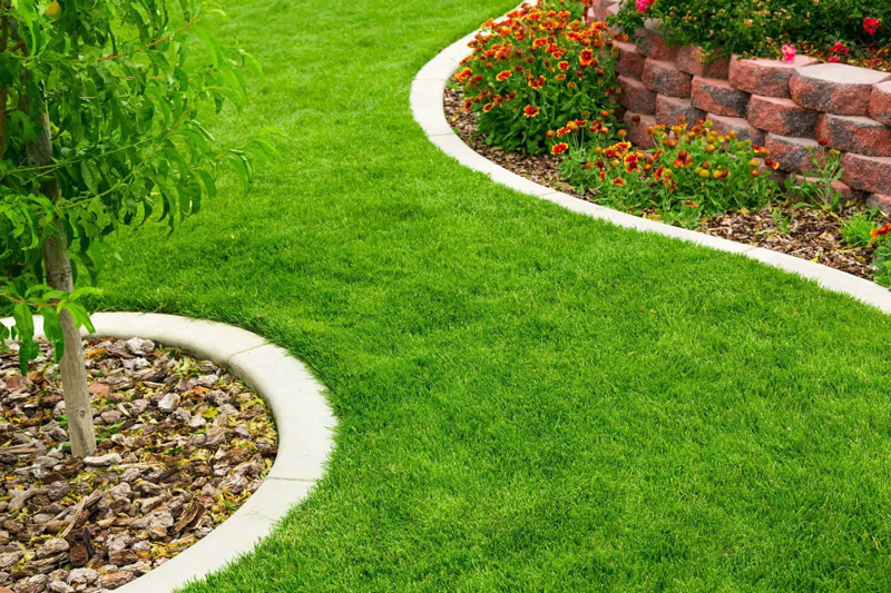 lawn