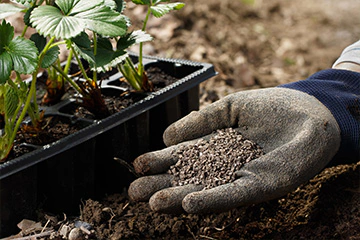 soil-improvement
