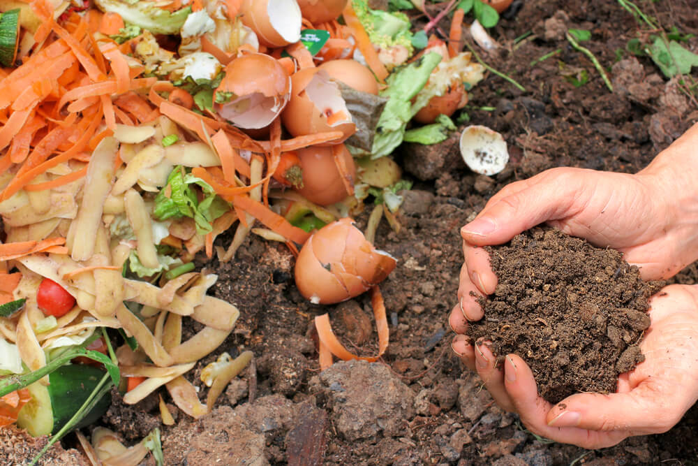 compost being used as fertilizer