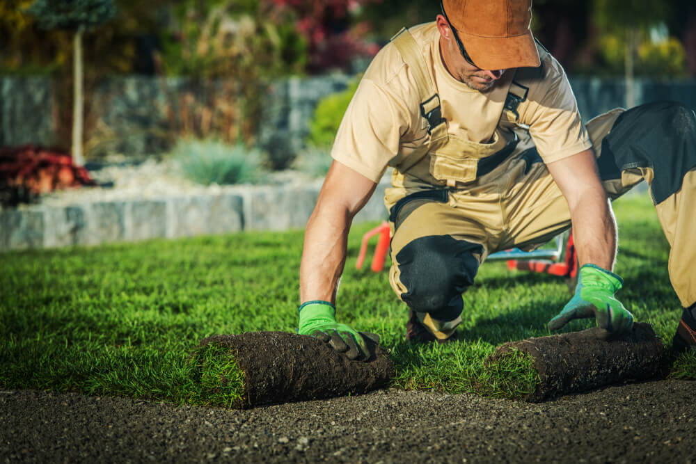 professional installing new turf