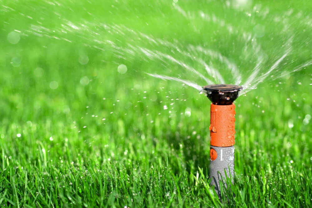 closeup of a lawn sprinkler