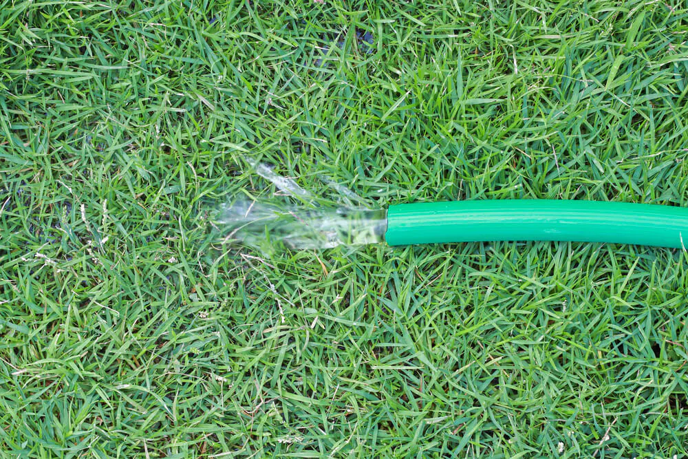 water flowing out of green rubber hose on grass