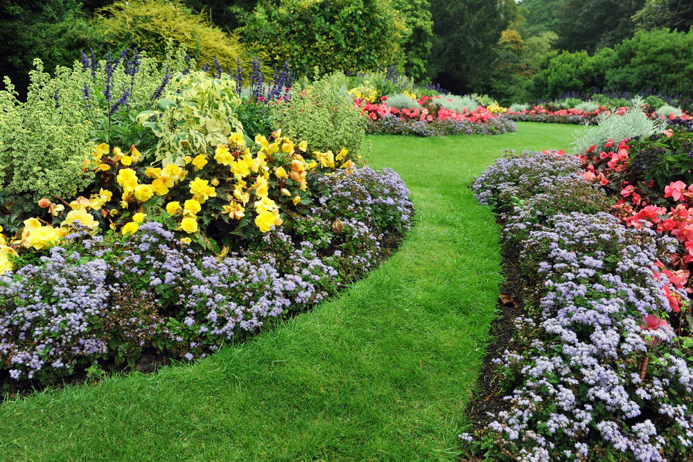 grass path surrounded by colourful flower beds