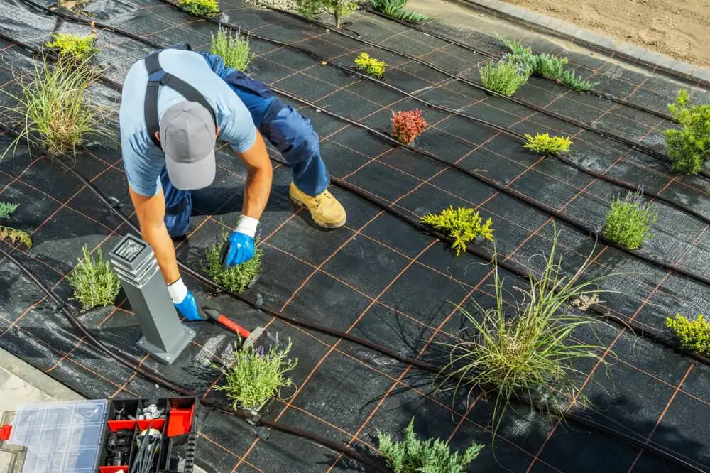 landscape professional installing reticulation system